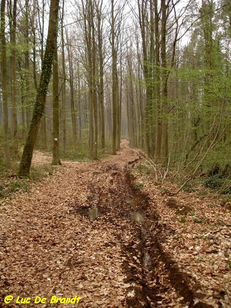 Ardennen Adeps wandeling Petigny