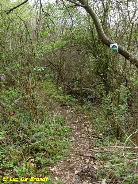 Ardennen Adeps wandeling Petigny