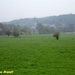 2009_04_12 Petigny 55