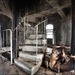 urban exploring