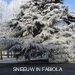 SNEEUW IN FABIOLA