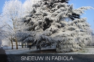 SNEEUW IN FABIOLA