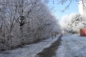 Winter in fabiola park (11)