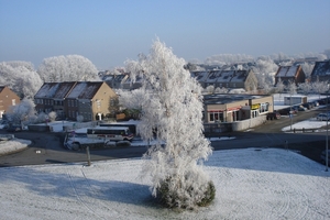 Winter in fabiola park