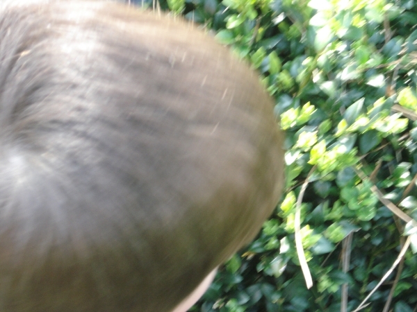 DSC00137