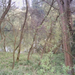 tn_Afbeelding_2038a