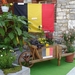 2008_07_30 Romedenne brouette 08
