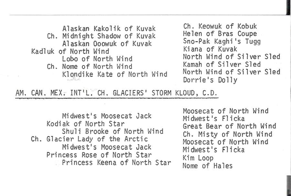 Stamboom Glaciers Storm Kloud