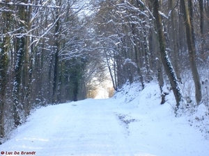 2009_12_19 Romedenne 030  Bois de Marmont