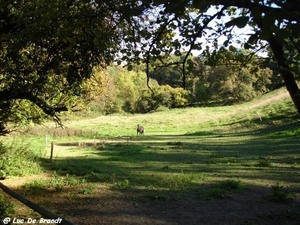 2010_10_10 Romedenne 54 Fond des Vaux