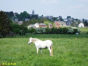 Romedenne dorpspanorama