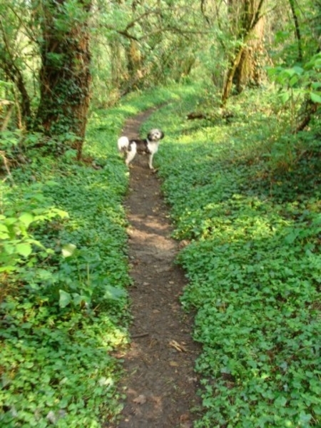 S-Plus wandeling Bilzen  145 [640x480]