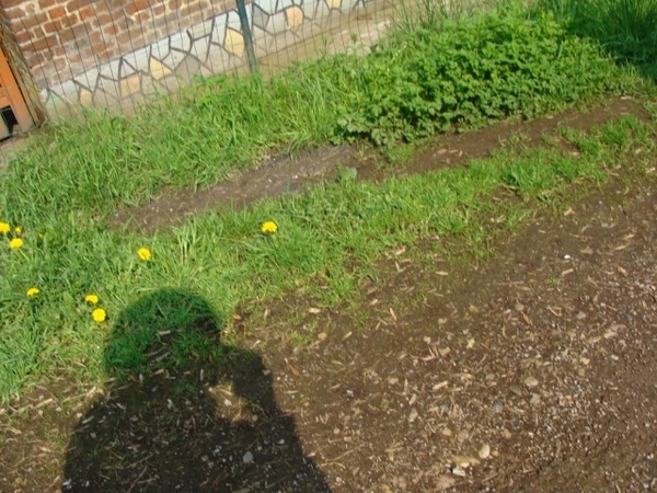 S-Plus wandeling Bilzen  153 [640x480]