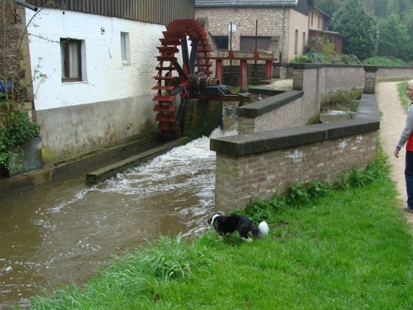 S-Plus wandeling Bilzen  24 [640x480]