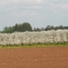 071 (964 x 485)