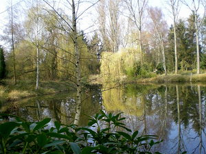 Lente 2008 achterste vijver