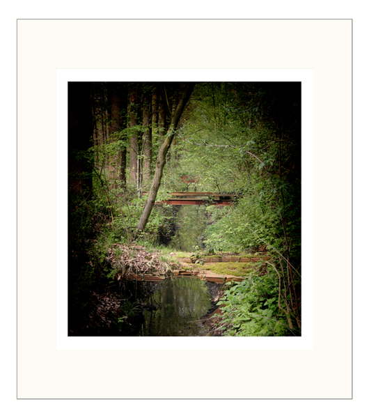 Beek, beekje, bos, waterloop, natuur, kolonie,
