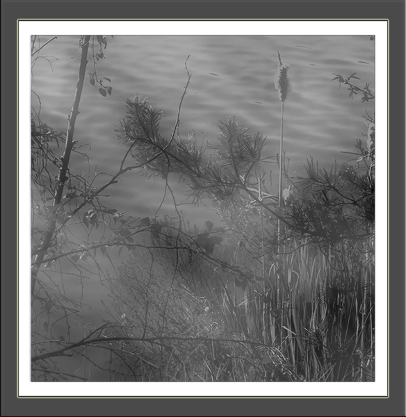 water, landschap, mistig