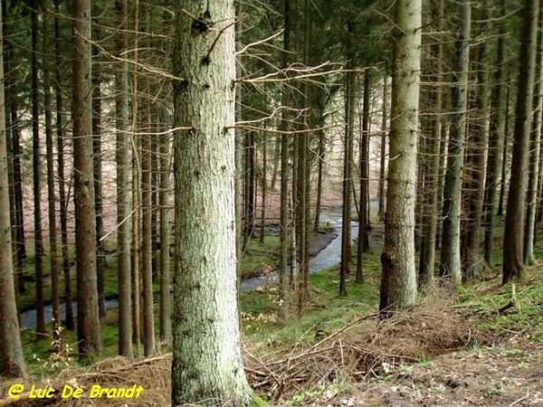 Ardennen Adeps wandeling Honnay Beauraing