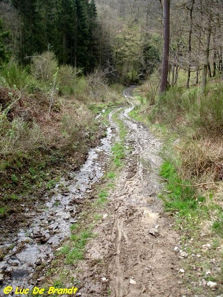 Ardennen Adeps wandeling Honnay Beauraing