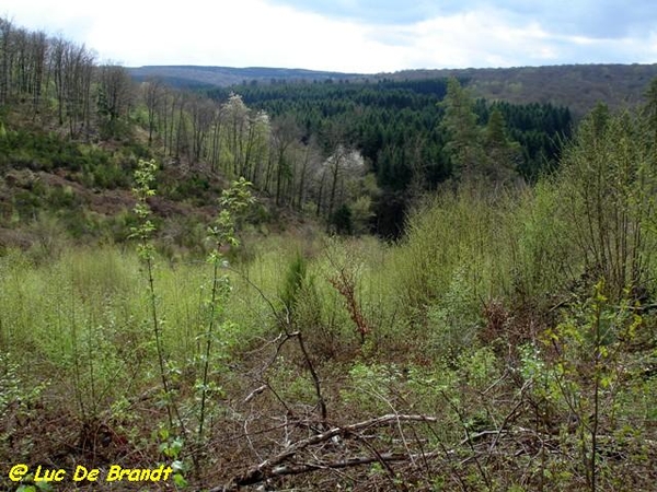 Ardennen Adeps wandeling Honnay Beauraing