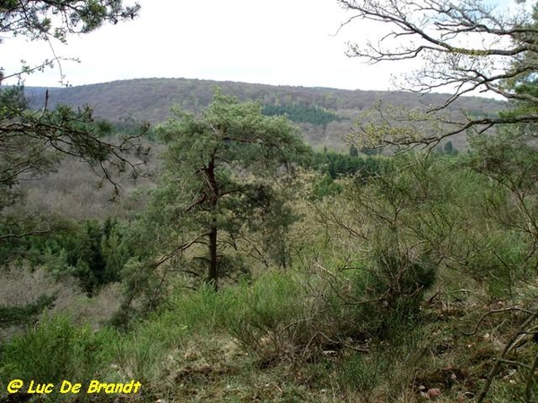 Ardennen Adeps wandeling Honnay Beauraing
