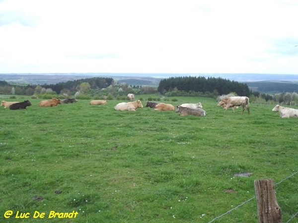 Ardennen Adeps wandeling Honnay Beauraing