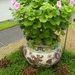 Mooie combinatie tussen pelargonium en oosterse vaas