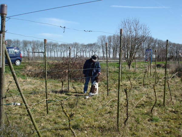 Wijngaard Buren 20-03-09