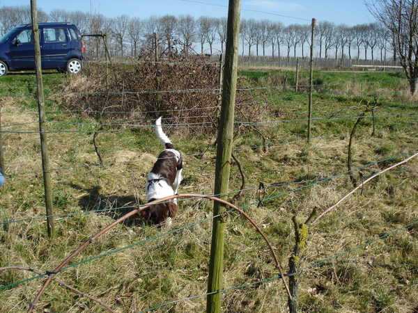 Arcil helpt mee 20-03-09