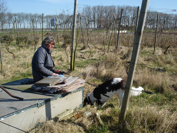 Werkkist in wijngaard 20-03-09