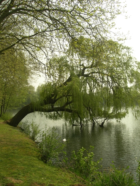 2009-04-15 Kessel-Lo en Vlierbeek (140)