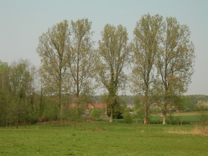 2009-04-15 Kessel-Lo en Vlierbeek (145)
