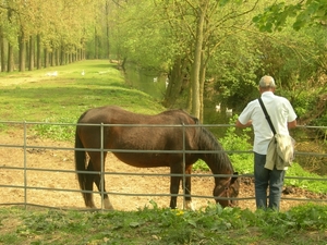 2009-04-15 Kessel-Lo en Vlierbeek (150)