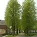 2009-04-15 Kessel-Lo en Vlierbeek (163)
