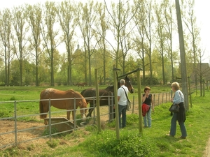 2009-04-15 Kessel-Lo en Vlierbeek (179)