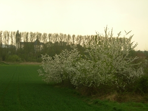 2009-04-15 Kessel-Lo en Vlierbeek (193)