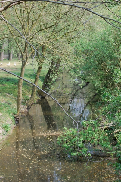 2009-04-15 Kessel-Lo en Vlierbeek (67)