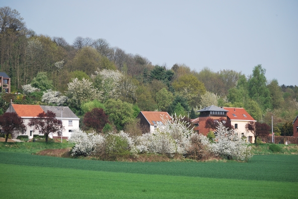 2009-04-15 Kessel-Lo en Vlierbeek (93)