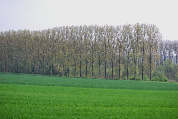 2009-04-15 Kessel-Lo en Vlierbeek (95)