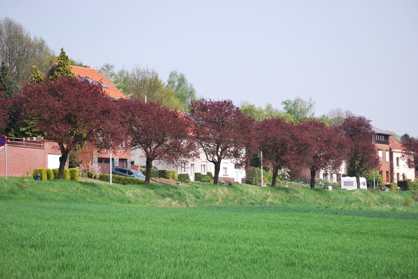 2009-04-15 Kessel-Lo en Vlierbeek (96)