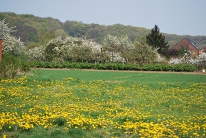 2009-04-15 Kessel-Lo en Vlierbeek (98)