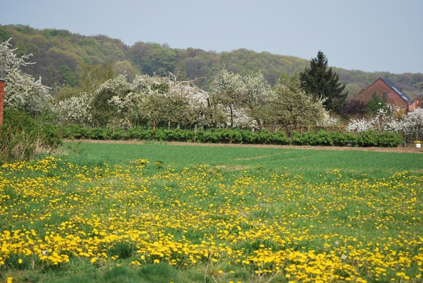2009-04-15 Kessel-Lo en Vlierbeek (98)