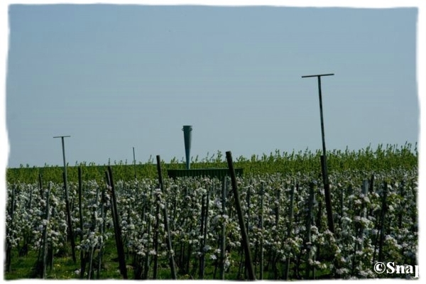 IMG_7184 [640x480] [640x480]