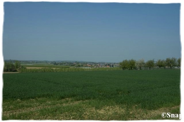 IMG_7185 [640x480] [640x480]