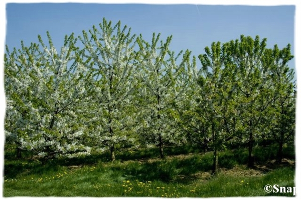 IMG_7187 [640x480] [640x480]