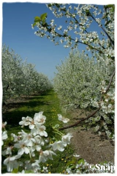 IMG_7190 [640x480] [640x480]