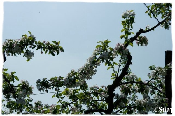 IMG_7198 [640x480] [640x480]