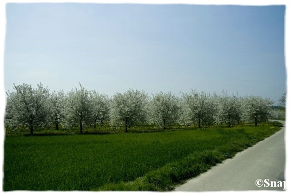 IMG_7201 [640x480] [640x480]