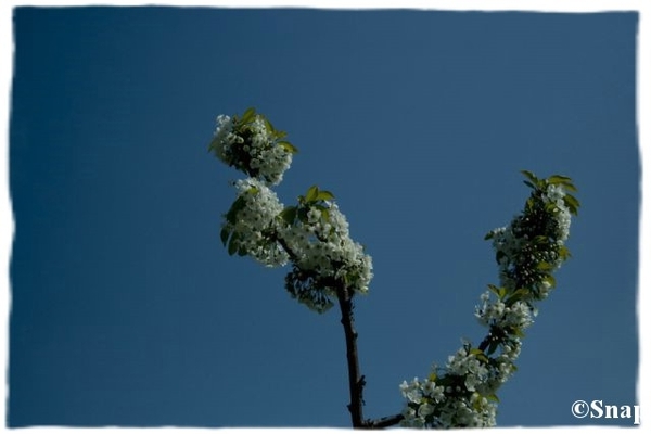 IMG_7206 [640x480] [640x480]